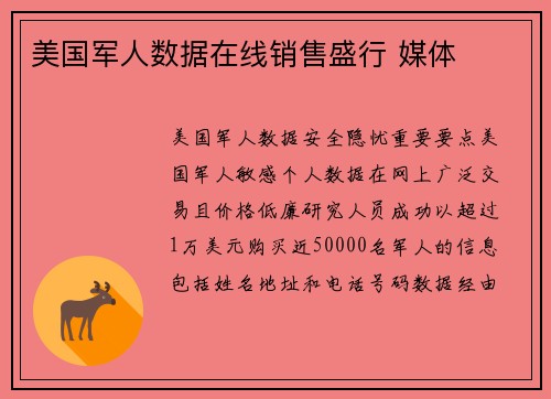 美国军人数据在线销售盛行 媒体